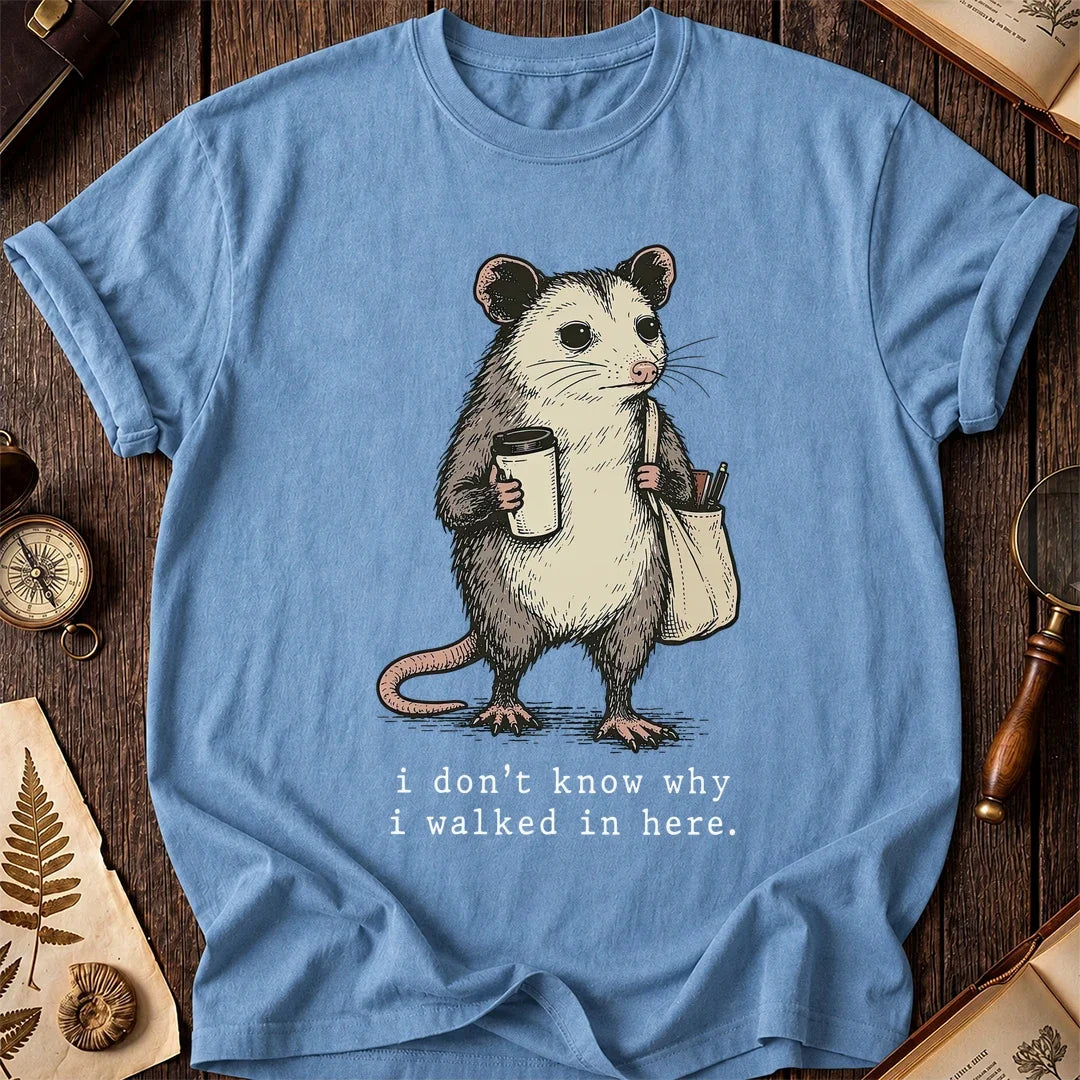 Room Reset Possum T-Shirt product image 4